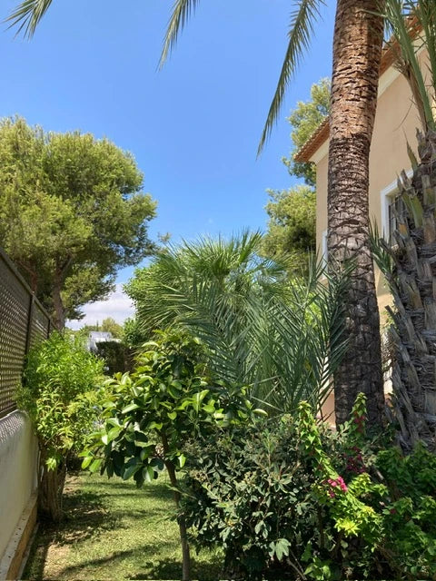 Jardín de Villa Serenita